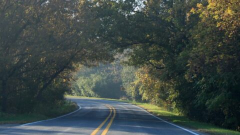 frains lake road photo